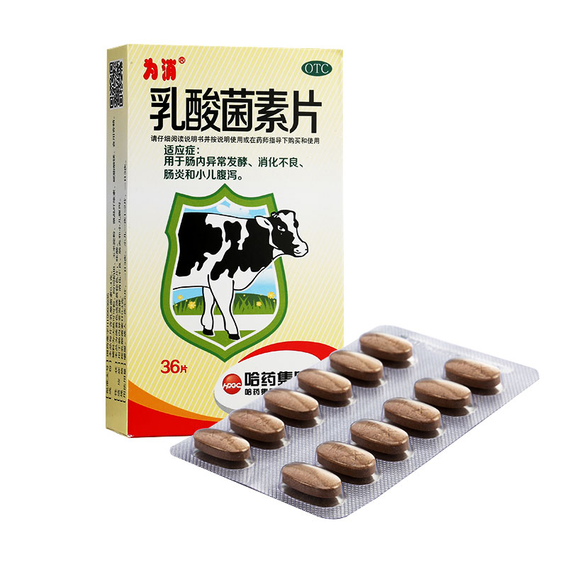 乳酸菌素片是治疗什么病的药