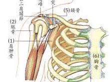 颈肩综合征