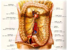 肠系膜血管缺血性疾病