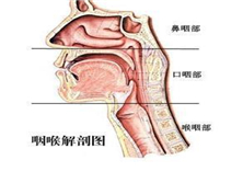 锁喉痈