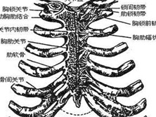 肋软骨炎