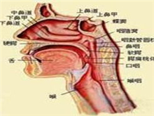 咽畸胎瘤