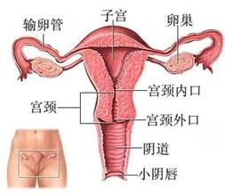 非特异性阴道炎