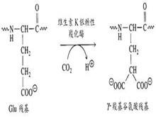 维生素K缺乏症