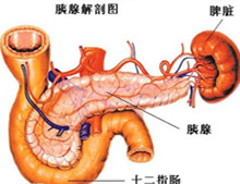 胰腺疾病