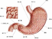 巴瑞特综合征