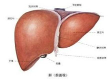 急性乙型肝炎