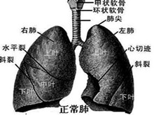 药物导致的肺部疾病